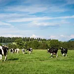 Friedlhof Kaernten Fuer Bis Zu 10 Personen דירה *