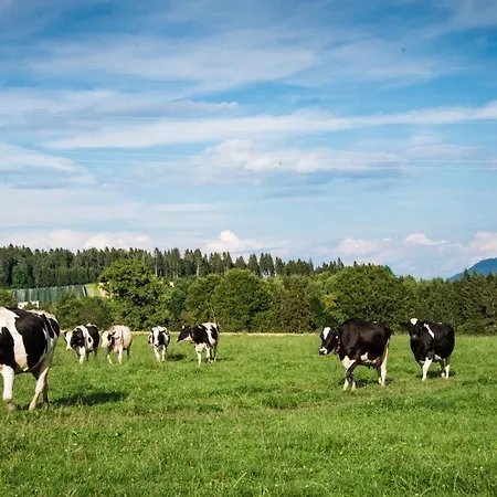 Friedlhof Kaernten דירה *