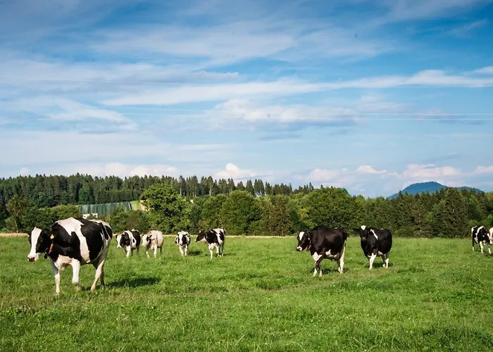 Friedlhof Kaernten Fuer Bis Zu 10 Personen Lägenhet *